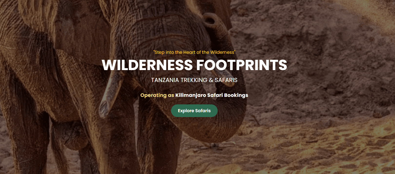 Wilderness Footprints Tanzania